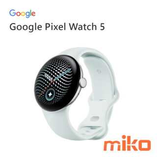 Google Pixel Watch 5 金屬銀鋁製錶殼-迷霧灰運動錶帶